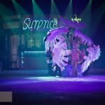 Ice Show 4